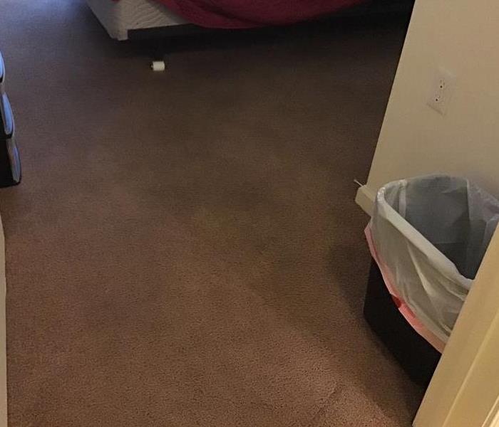 A bedroom carpet that has been cleaned professionally.